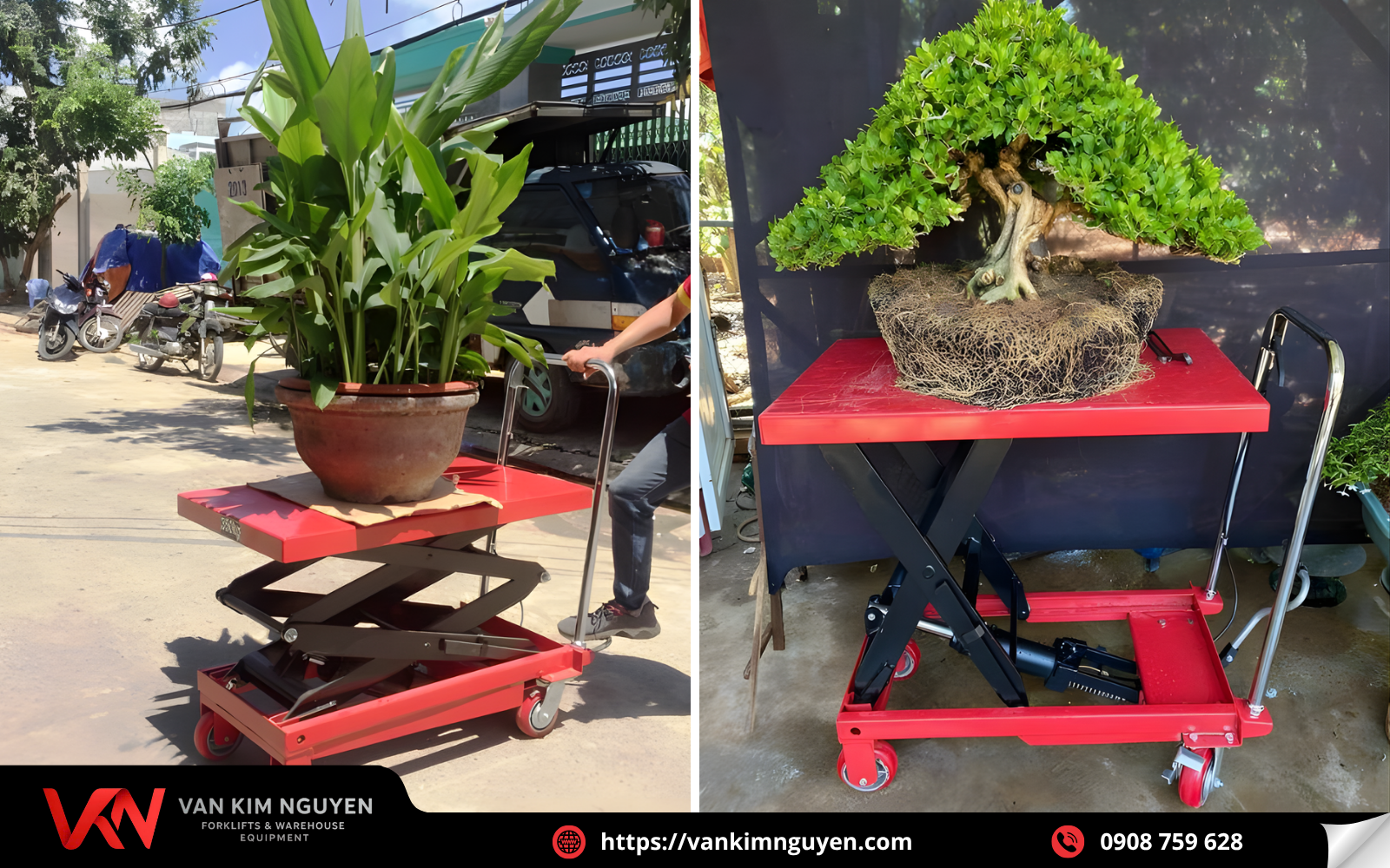 Giới thiệu xe nâng chậu cảnh Giới thiệu xe nâng chậu cảnh