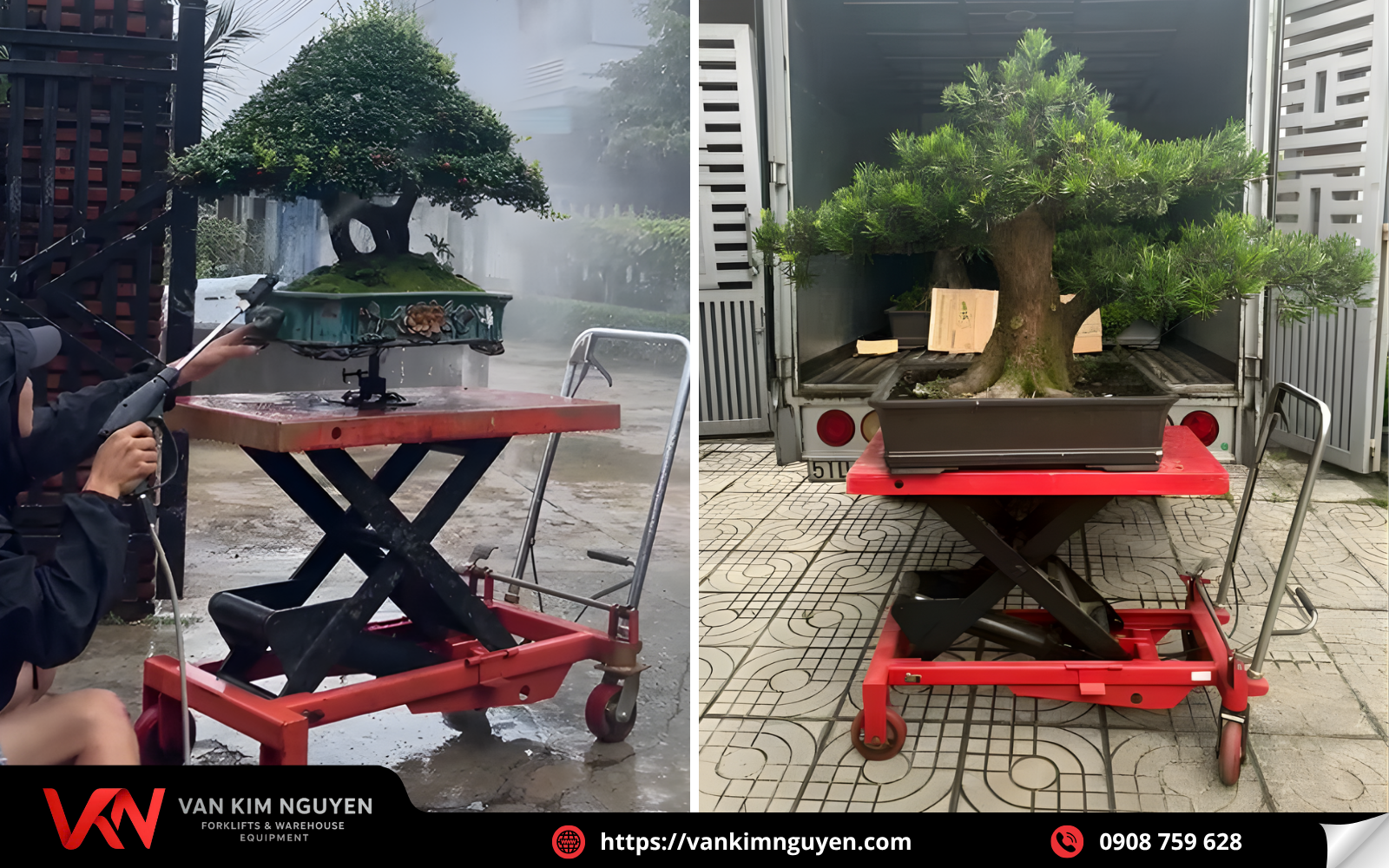 Xe nâng chậu bonsai được ứng dụng đa dạng Xe nâng chậu bonsai được ứng dụng đa dạng